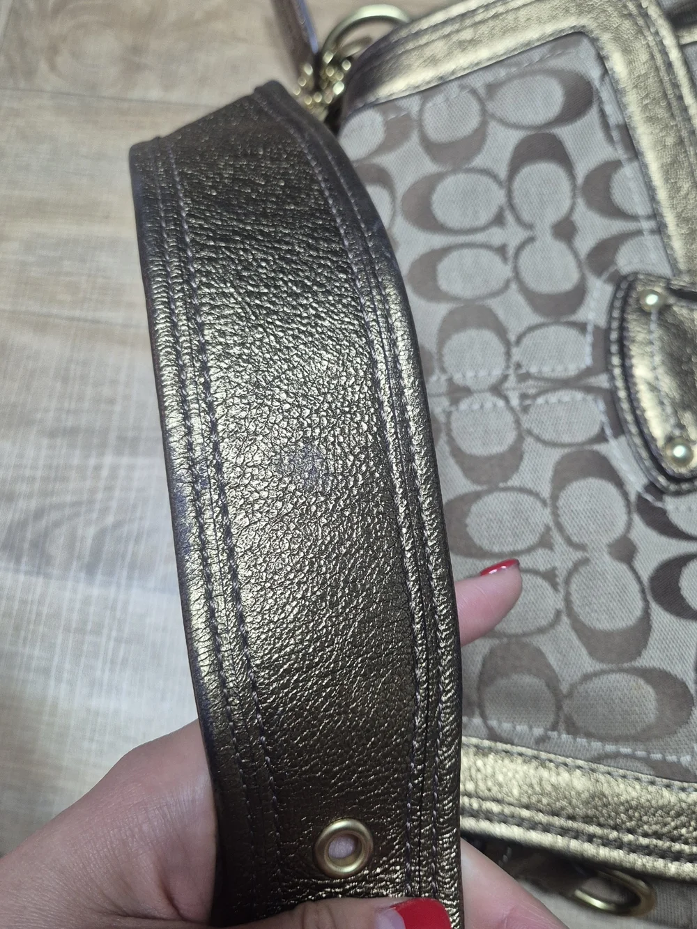 Coach Metallic Silver Signature Canvas Shoulder Bag